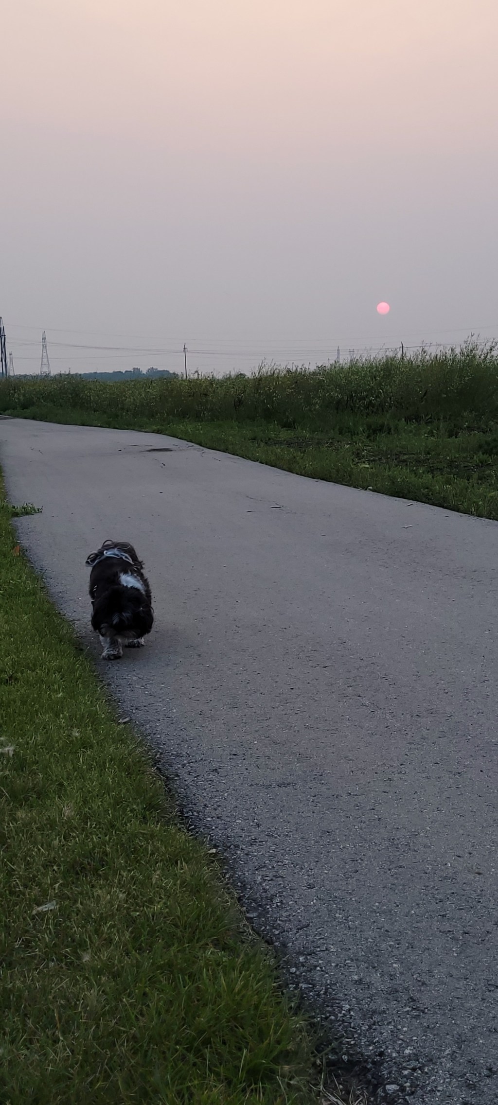 Letter #2: The Day Before the Day&nbsp;Before